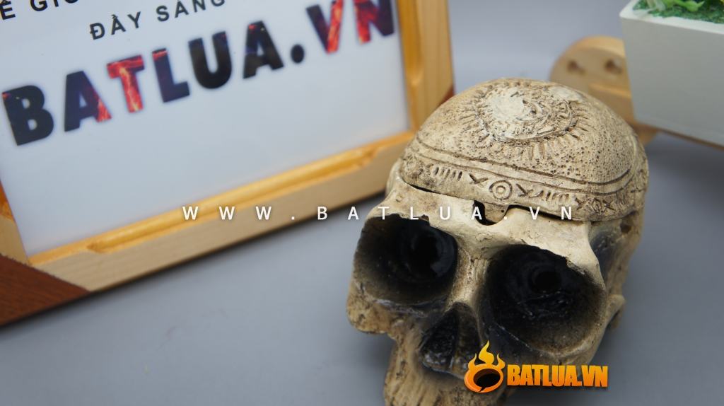 Gạt tàn thuốc là hình đầu nâu ĐN001