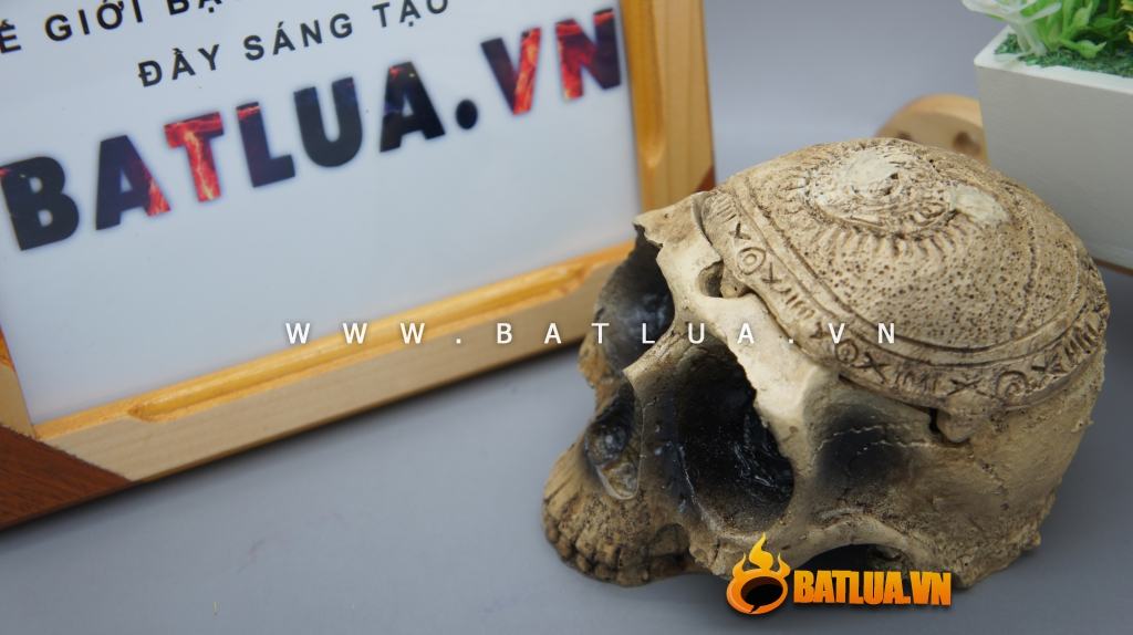 Gạt tàn thuốc là hình đầu nâu ĐN001