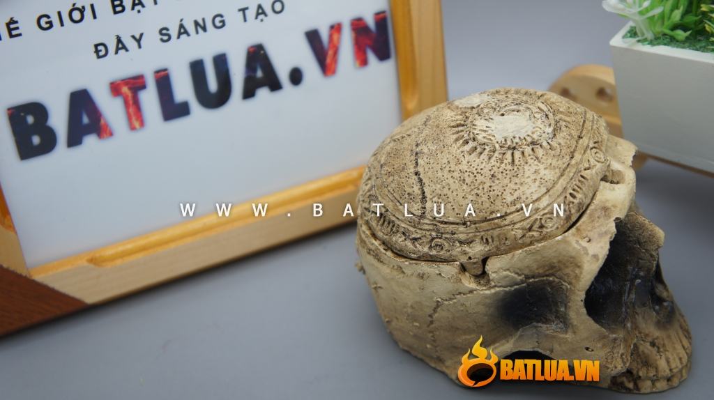 Gạt tàn thuốc là hình đầu nâu ĐN001